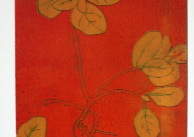 Rosemarie Lewandrowski